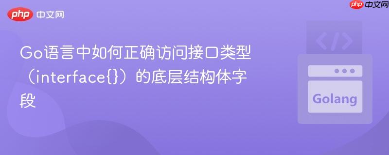 Go语言中如何正确访问接口类型(interface{})的底层结构体字段