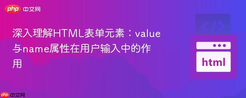 深入理解HTML表单元素:value与name属性在用户输入中的作用