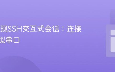 JSch实现SSH交互式会话：连接iLO虚拟串口