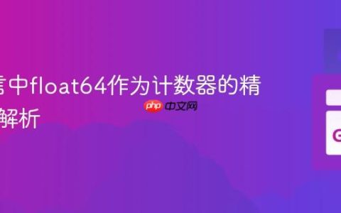 Go语言中float64作为计数器的精度限制解析