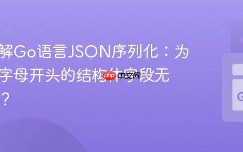 深入理解Go语言JSON序列化：为何小写字母开头的结构体字段无法导出？