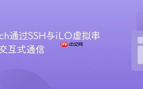 使用JSch通过SSH与iLO虚拟串口进行交互式通信