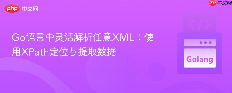 Go语言中灵活解析任意XML:使用XPath定位与提取数据