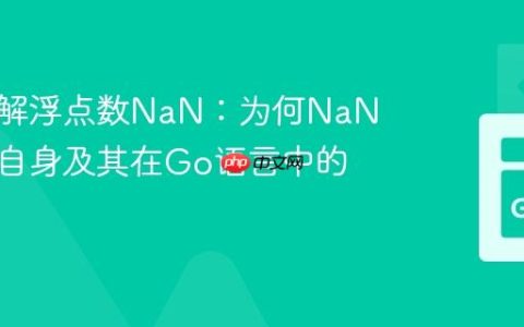 深入理解浮点数NaN：为何NaN不等于自身及其在Go语言中的体现