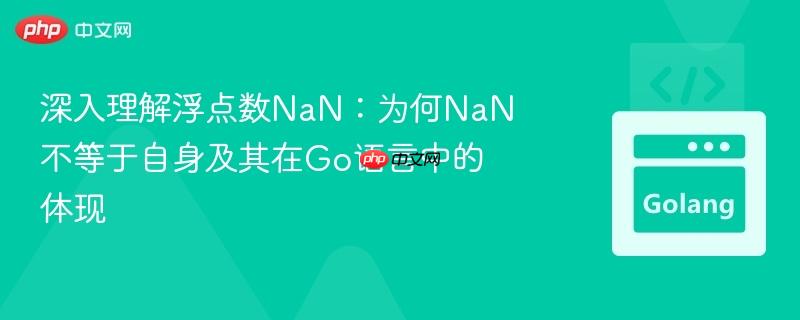 深入理解浮点数NaN:为何NaN不等于自身及其在Go语言中的体现