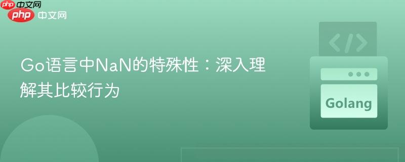 Go语言中NaN的特殊性:深入理解其比较行为