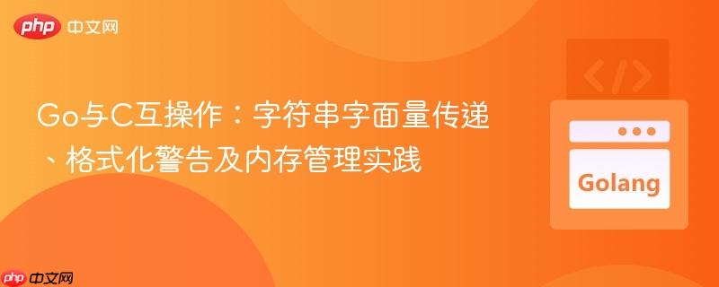 Go与C互操作：字符串字面量传递、格式化警告及内存管理实践