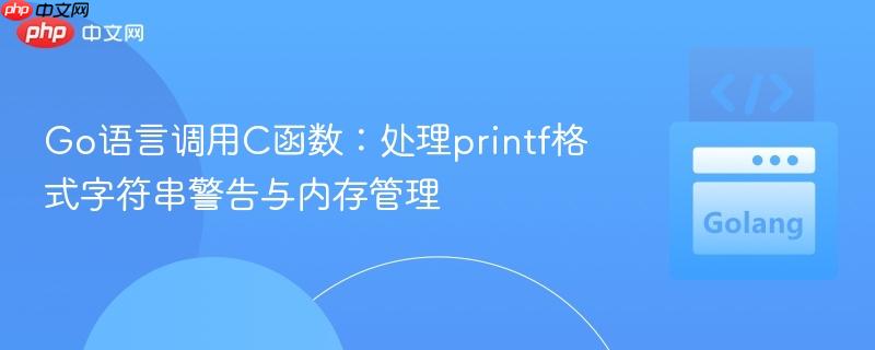 Go语言调用C函数:处理printf格式字符串警告与内存管理