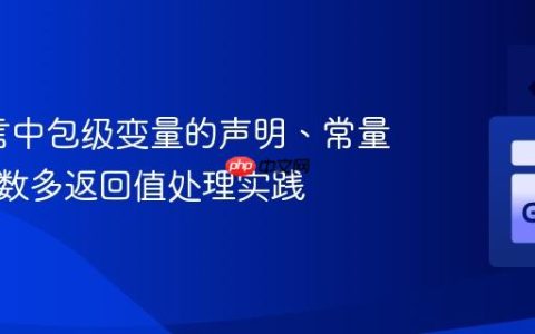 Go语言中包级变量的声明、常量化与函数多返回值处理实践