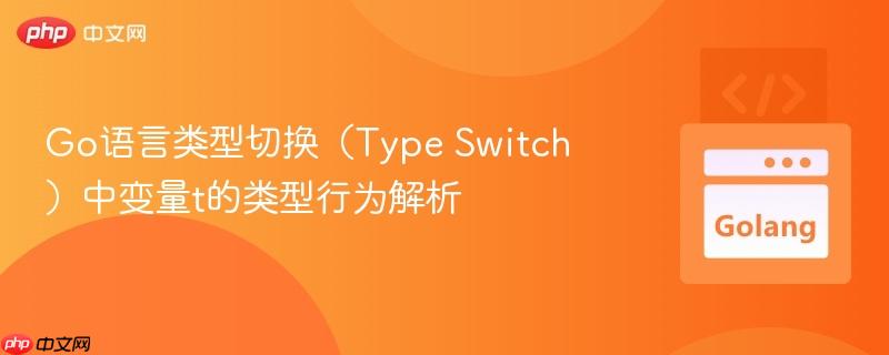 go语言类型切换(type switch)中变量t的类型行为解析