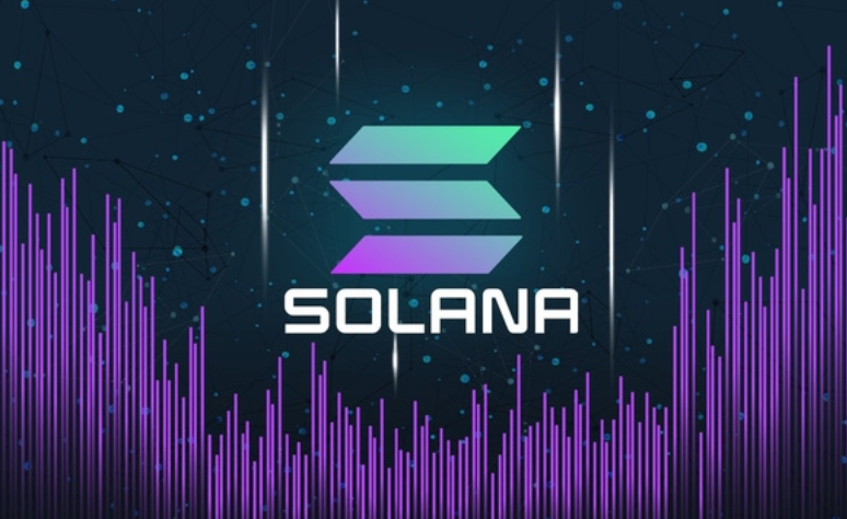 SOL币的网络攻击风险是什么?如何通过多样化防范? - 创想鸟