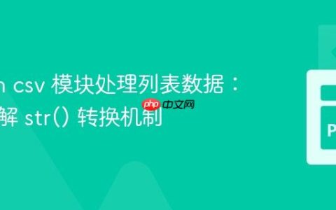 Python csv 模块处理列表数据：深入理解 str() 转换机制