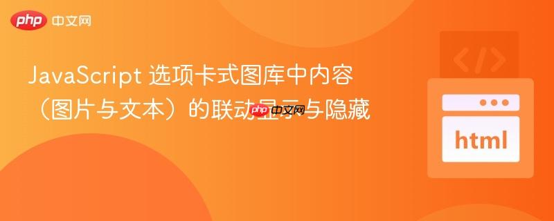 JavaScript 选项卡式图库中内容（图片与文本）的联动显示与隐藏