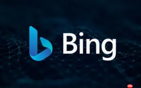 Bing搜索官方入口链接 Bing引擎免费浏览器访问