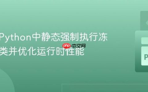如何在Python中静态强制执行冻结数据类并优化运行时性能