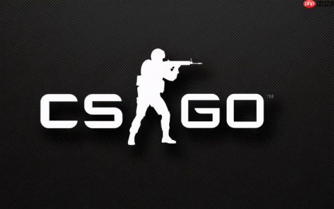 值得信赖的CSGO开箱网站 CSGO开箱平台合集