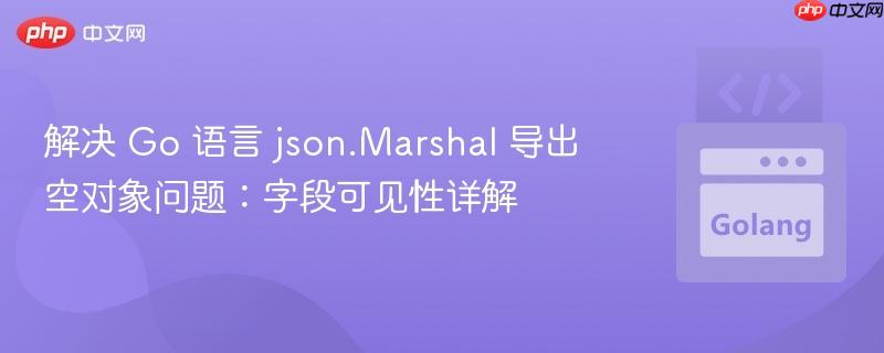 解决 Go 语言 json.Marshal 导出空对象问题:字段可见性详解