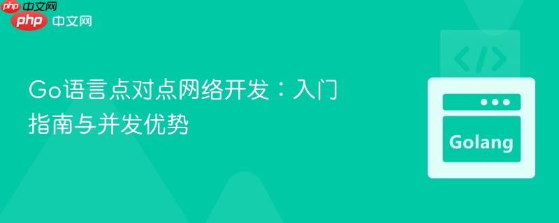 go语言点对点网络开发:入门指南与并发优势