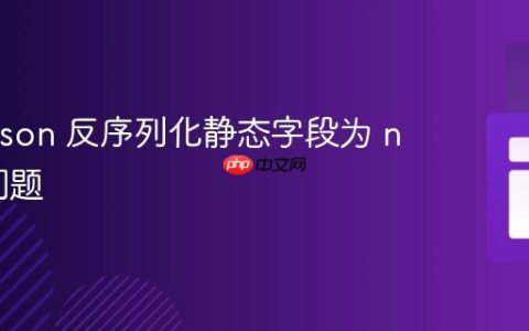 解决 Gson 反序列化静态字段为 null 的问题