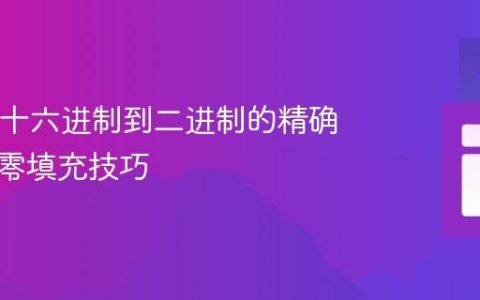 Java中十六进制到二进制的精确转换与零填充技巧