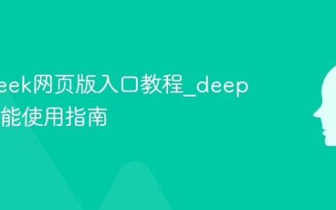 deepseek网页版入口教程_deepseek功能使用指南