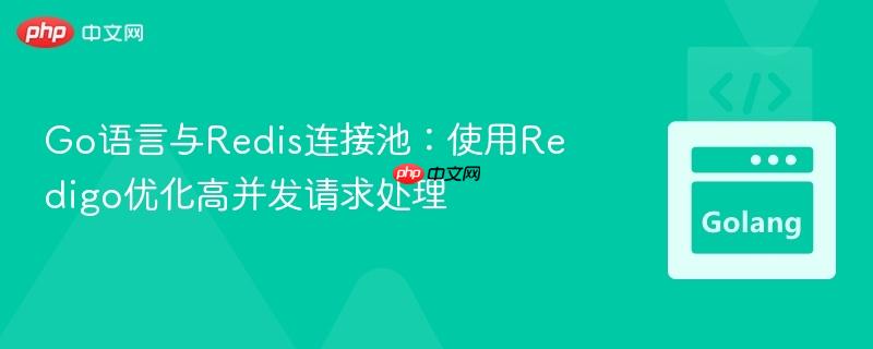 Go语言与Redis连接池：使用Redigo优化高并发请求处理