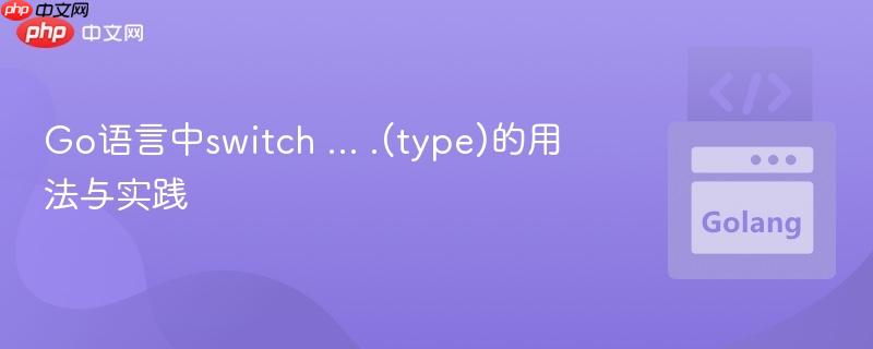 Go语言中switch ... .(type)的用法与实践