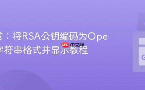 Go语言：将RSA公钥编码为OpenSSH字符串格式并显示教程