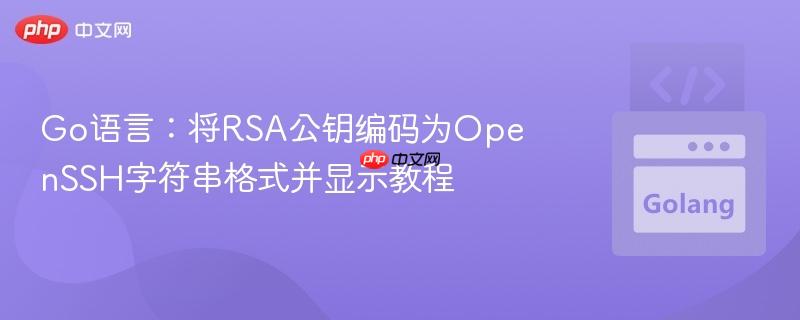 Go语言:将RSA公钥编码为OpenSSH字符串格式并显示教程