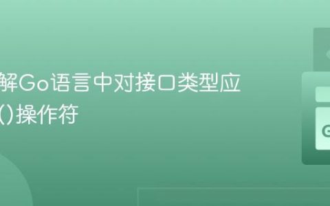 深入理解Go语言中对接口类型应用new()操作符