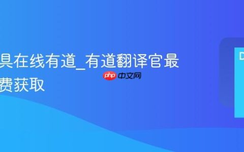 翻译工具在线有道_有道翻译官最新版免费获取