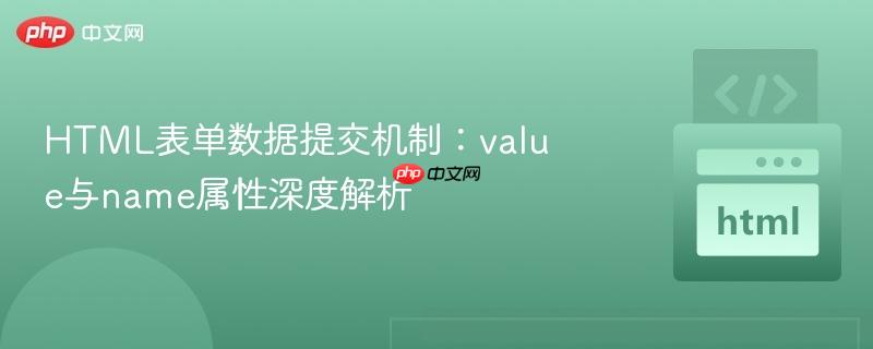 html表单数据提交机制:value与name属性深度解析