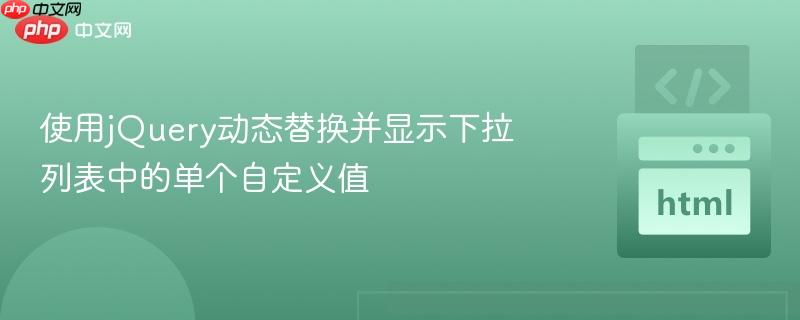使用jQuery动态替换并显示下拉列表中的单个自定义值