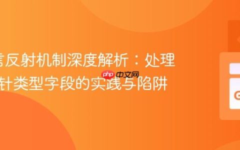 Go语言反射机制深度解析：处理内嵌指针类型字段的实践与陷阱