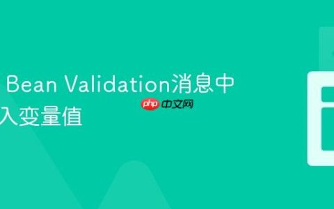 在Java Bean Validation消息中动态插入变量值