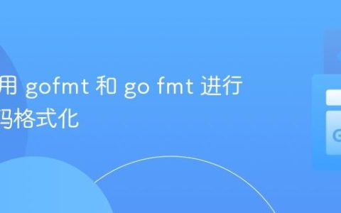 正确使用 gofmt 和 go fmt 进行 Go 代码格式化