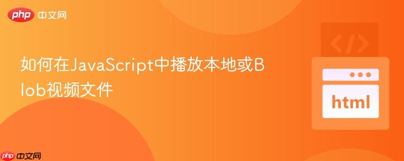 如何在javascript中播放本地或blob视频文件