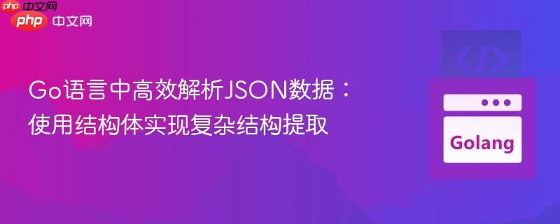 Go语言中高效解析JSON数据:使用结构体实现复杂结构提取