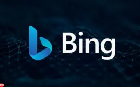 Bing搜索入口免费地址 Bing引擎2025无需登录链接