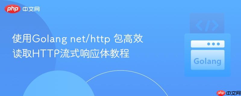 使用Golang net/http 包高效读取HTTP流式响应体教程
