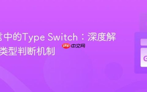 Go语言中的Type Switch：深度解析接口类型判断机制