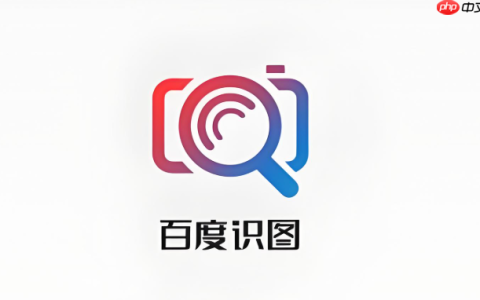 百度识图网页版直达 百度识图快速访问