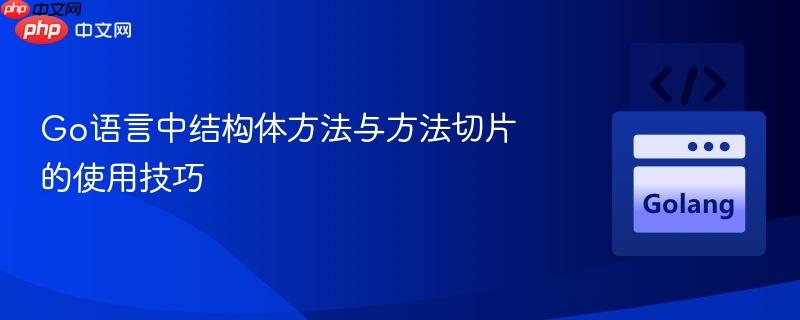 Go语言中结构体方法与方法切片的使用技巧