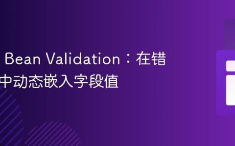 Spring Bean Validation：在错误消息中动态嵌入字段值