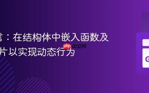 Go语言：在结构体中嵌入函数及函数切片以实现动态行为