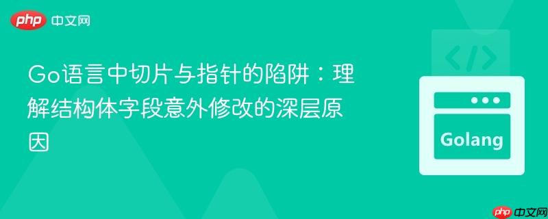Go语言中切片与指针的陷阱:理解结构体字段意外修改的深层原因