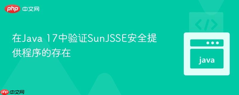 在Java 17中验证SunJSSE安全提供程序的存在