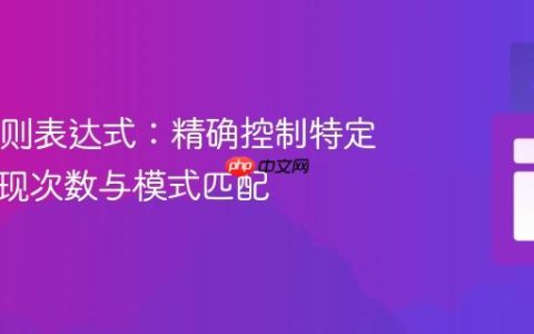 Java正则表达式：精确控制特定字符出现次数与模式匹配