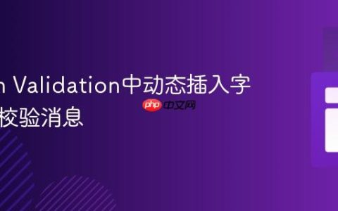 在Bean Validation中动态插入字段值到校验消息