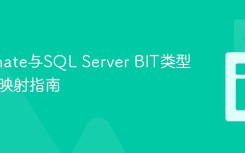 Hibernate与SQL Server BIT类型默认值映射指南